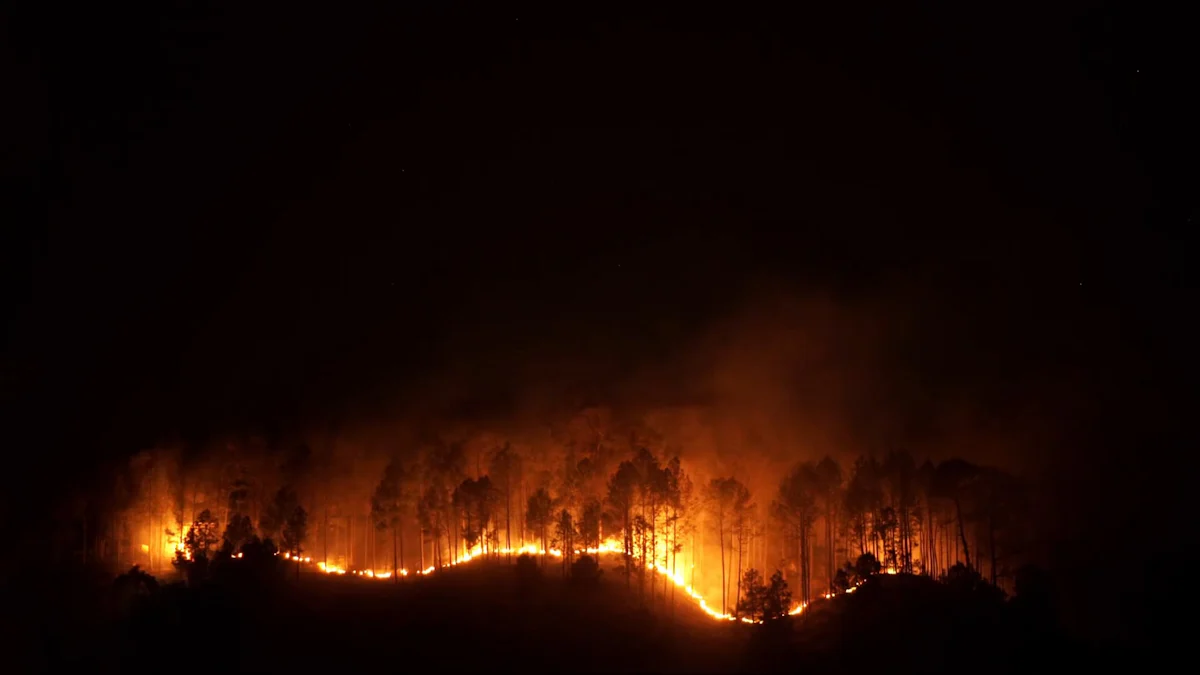 Wildfires Impact on Supply Chains
