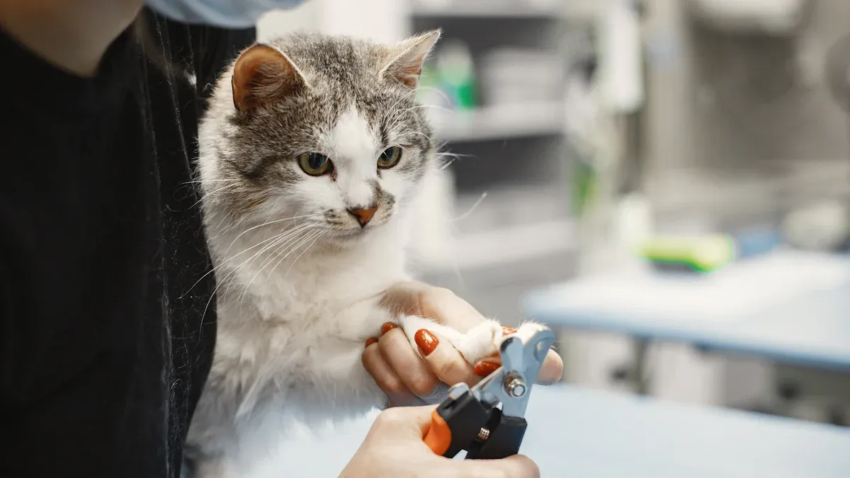 Top 10 Must-Have Cat Grooming Supplies Every Owner Needs