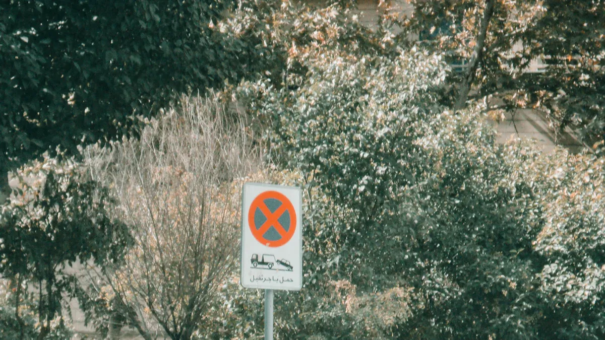 Solutions: Speed Limiter Devices and Compliance