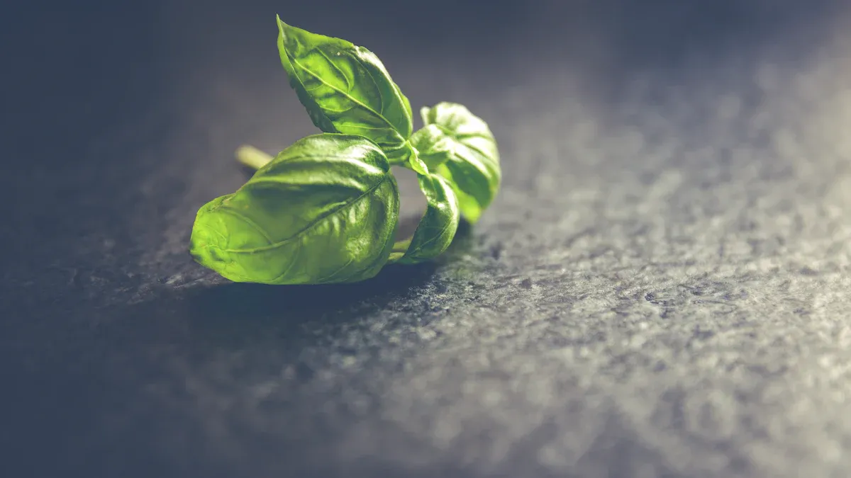 Lean Thinking for Value Creation