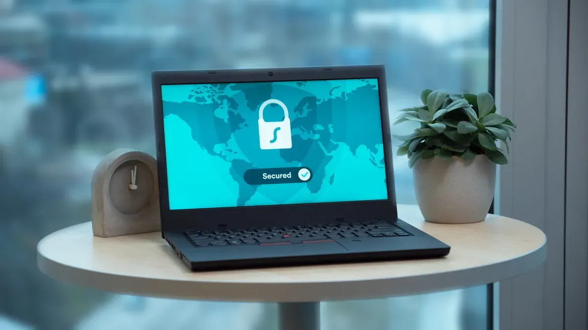 Mitigating security and privacy risks