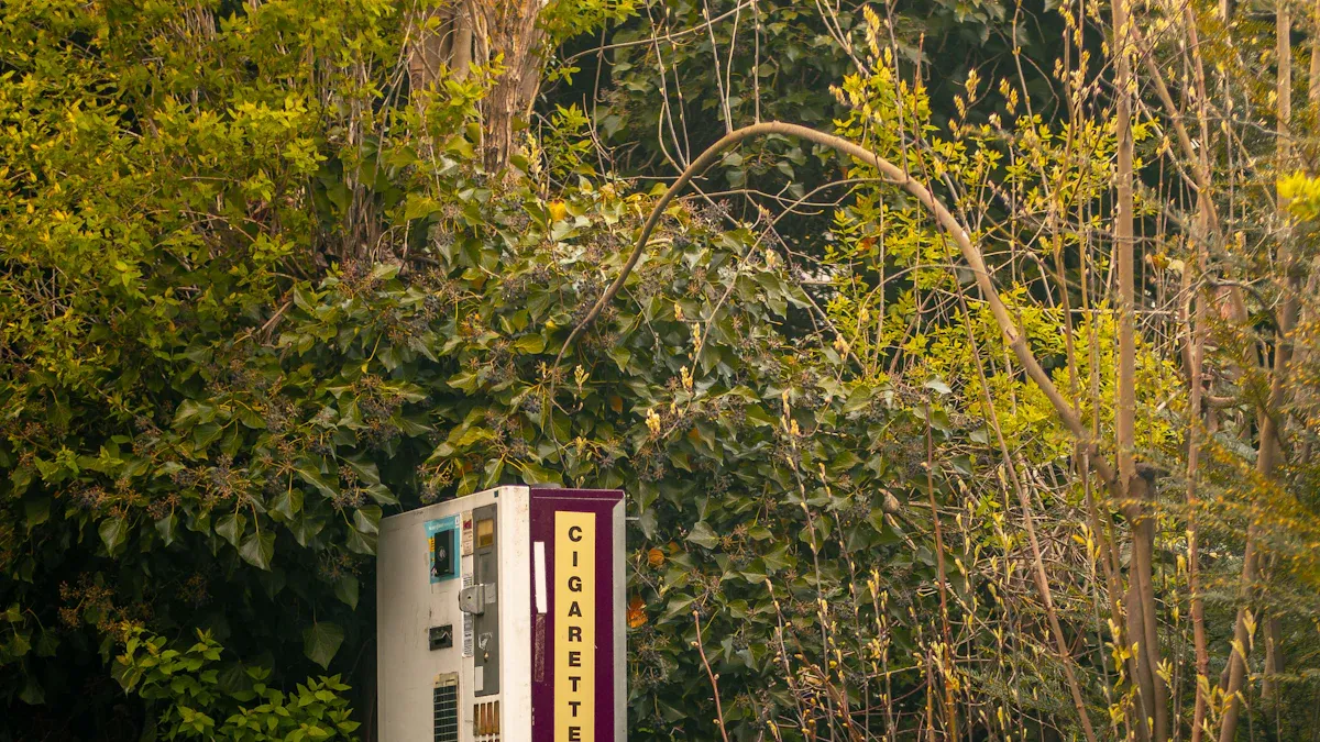 Rise of Cigarette Vending Machines