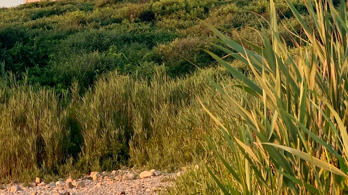 Exploring the Charm of Montauk Corner Store: A Local Gem in Montauk, NY
