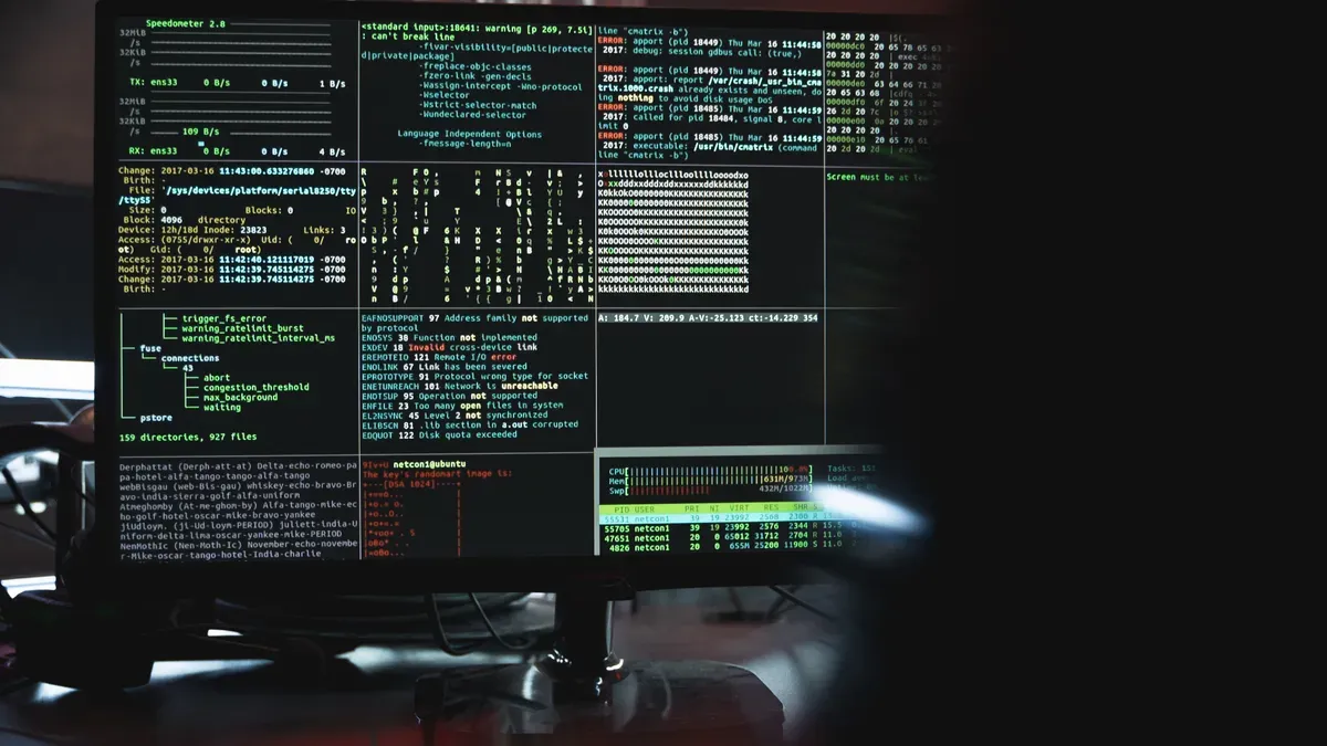 AI System Vulnerabilities