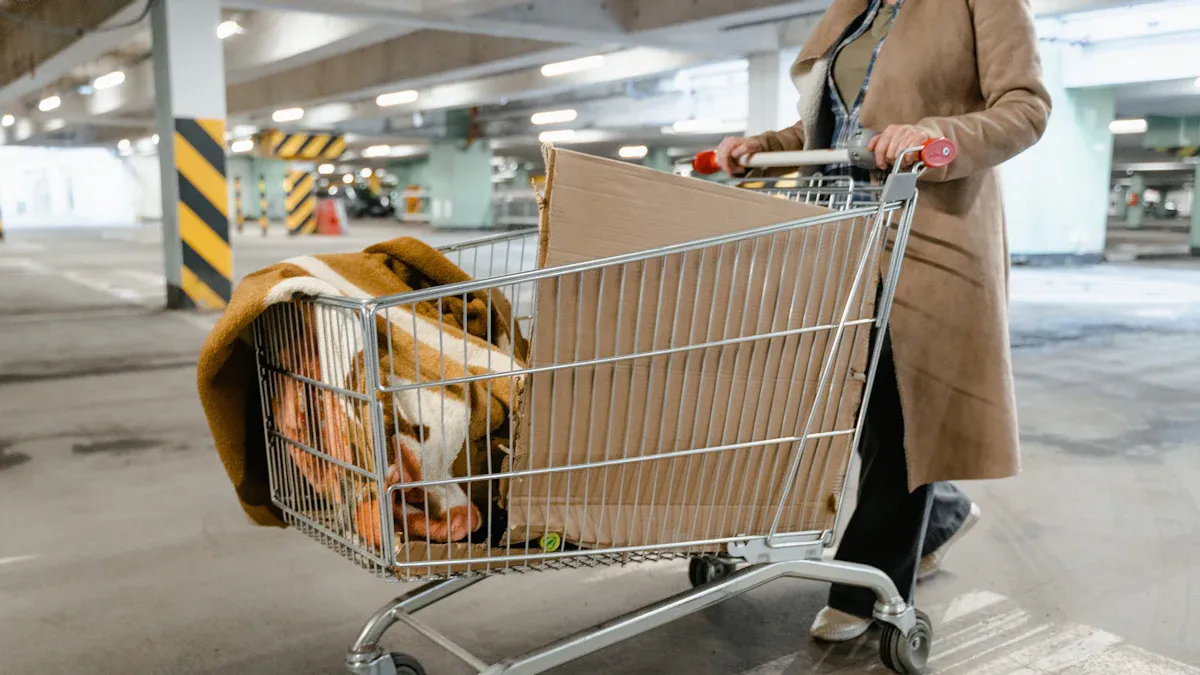 Premium Shopping Cart Standards