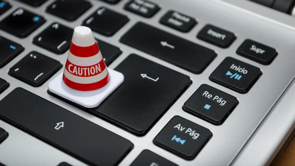 Security and Privacy Risks