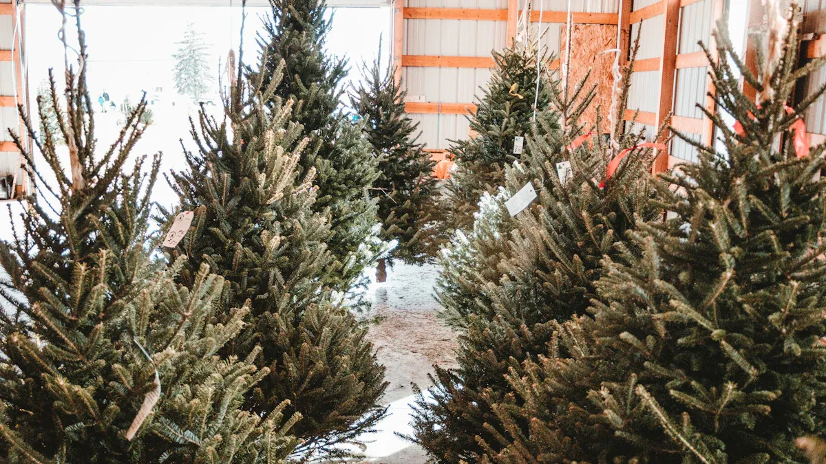 Where to Buy Christmas Trees for Sale