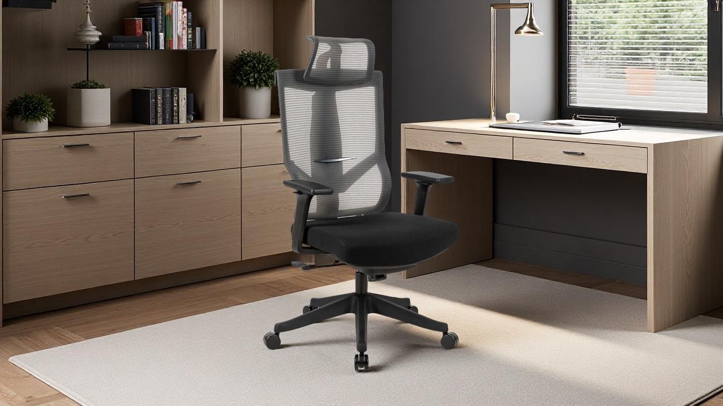 300lbs Ergonomic office chair with headrest and 2D armrest