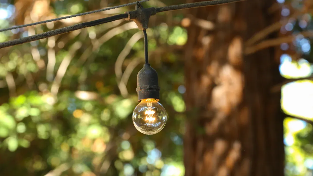 Solar and Sustainability