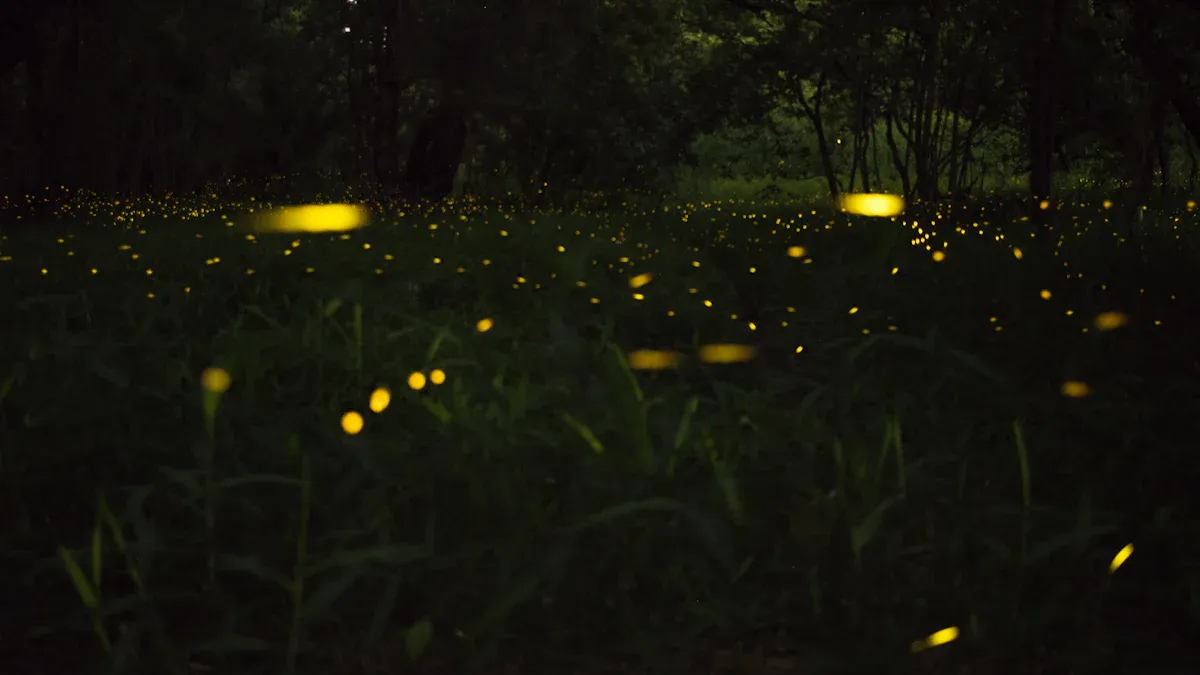 Top Solar Firefly Lights for Gardens and Patios Reviewed