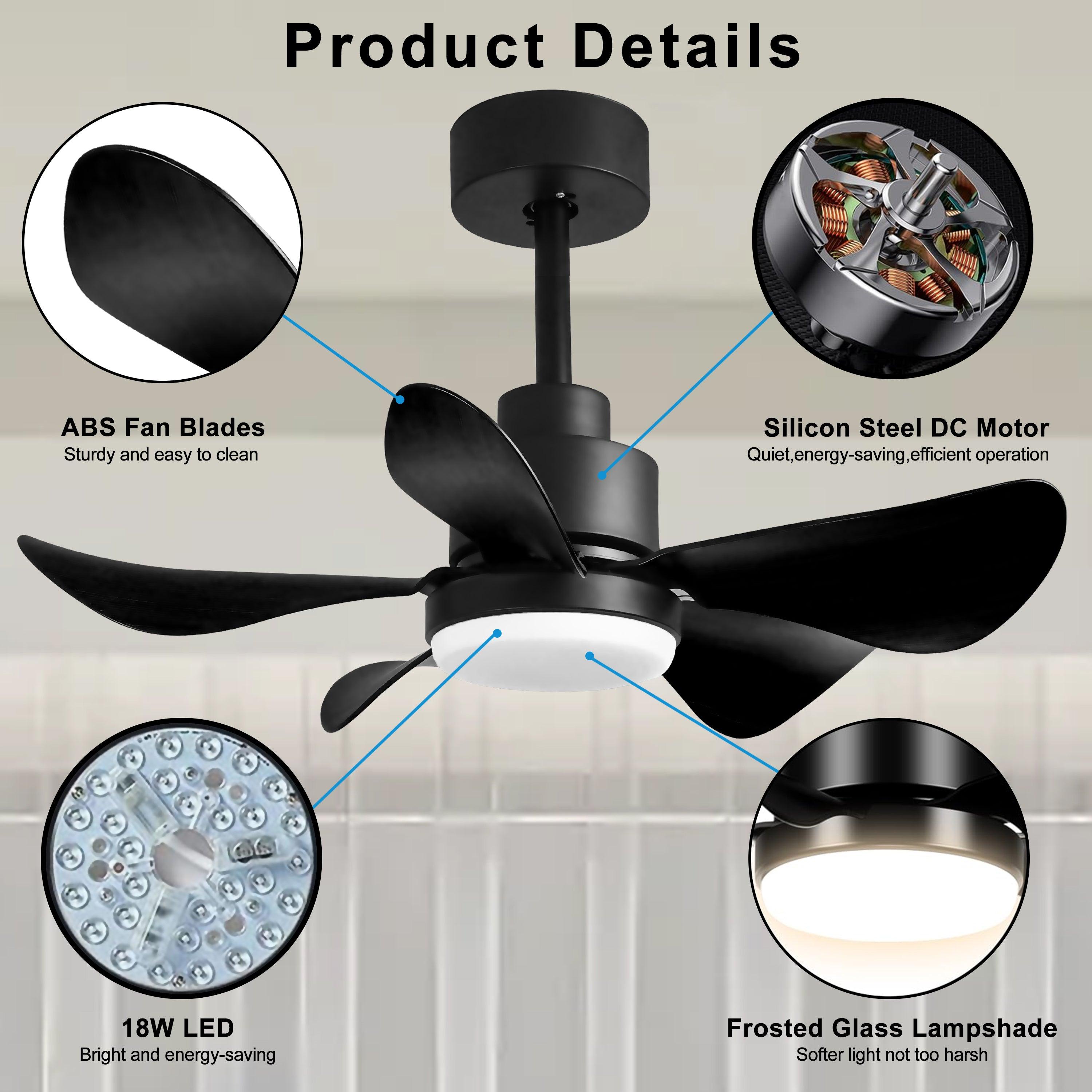 Key Features