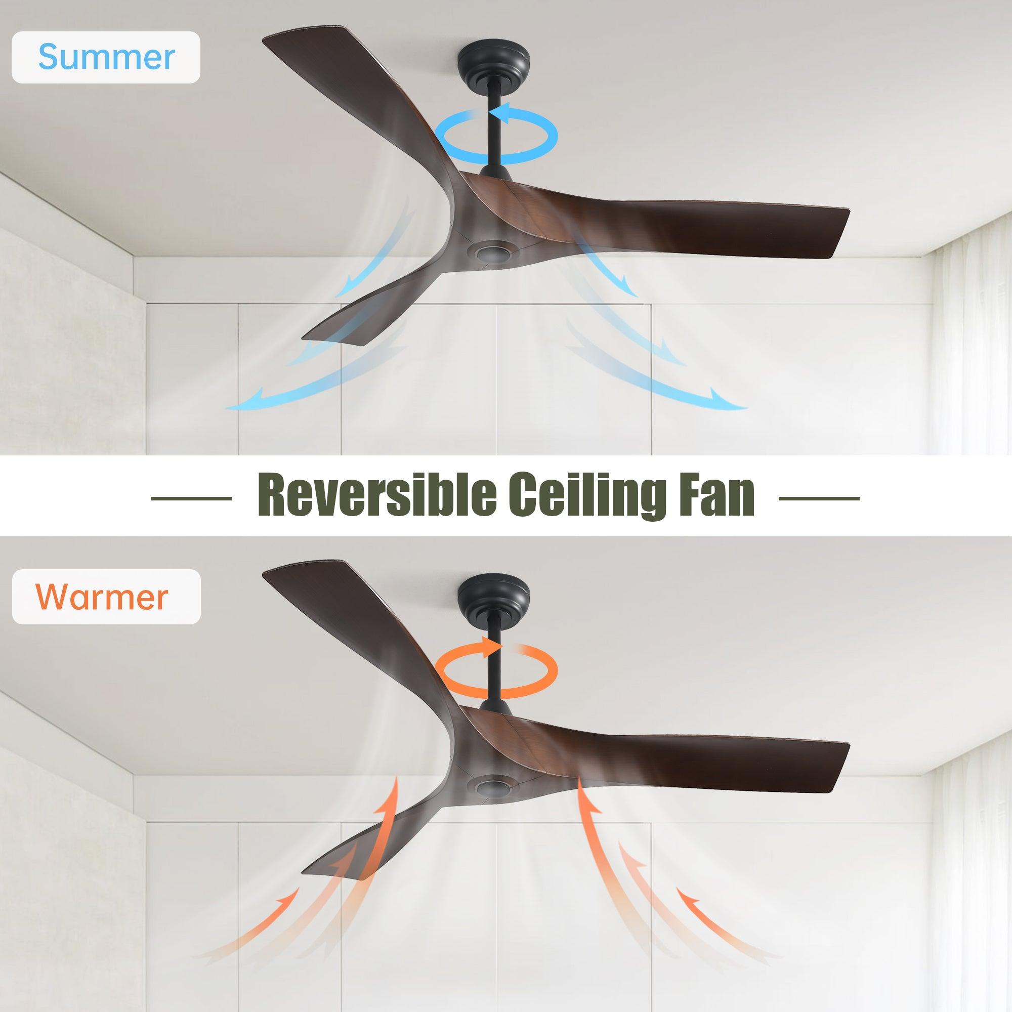 Energy-Efficient Ceiling Fan Features