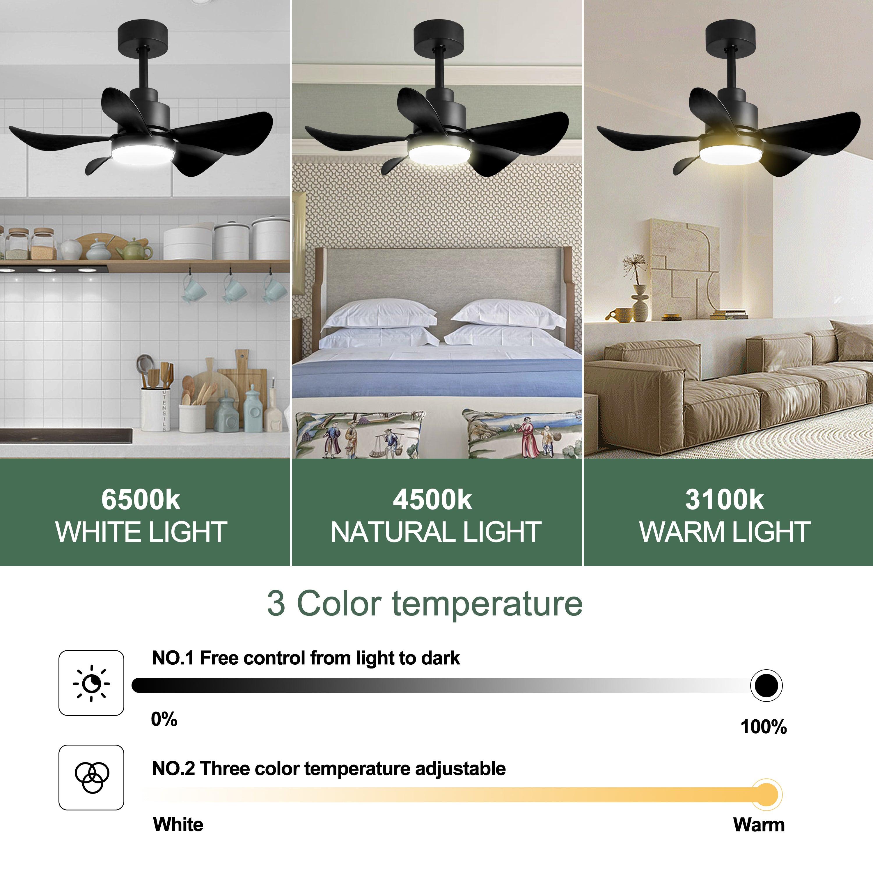 Ceiling Fan with Light Benefits