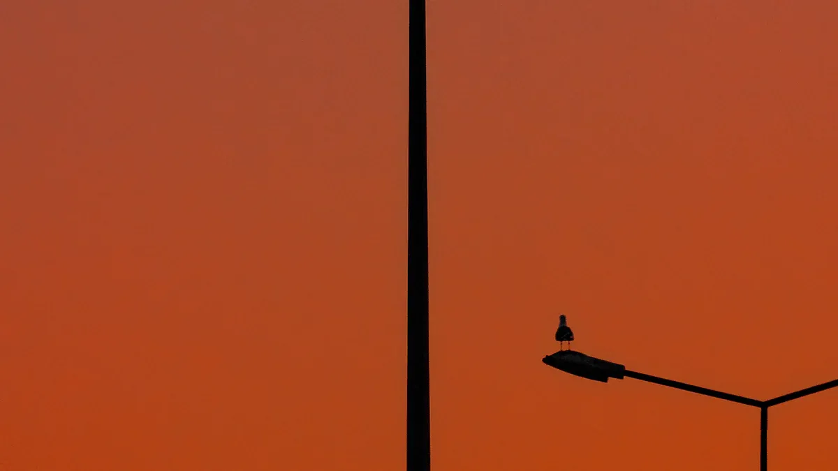 How to choose street lamp poles of different heights