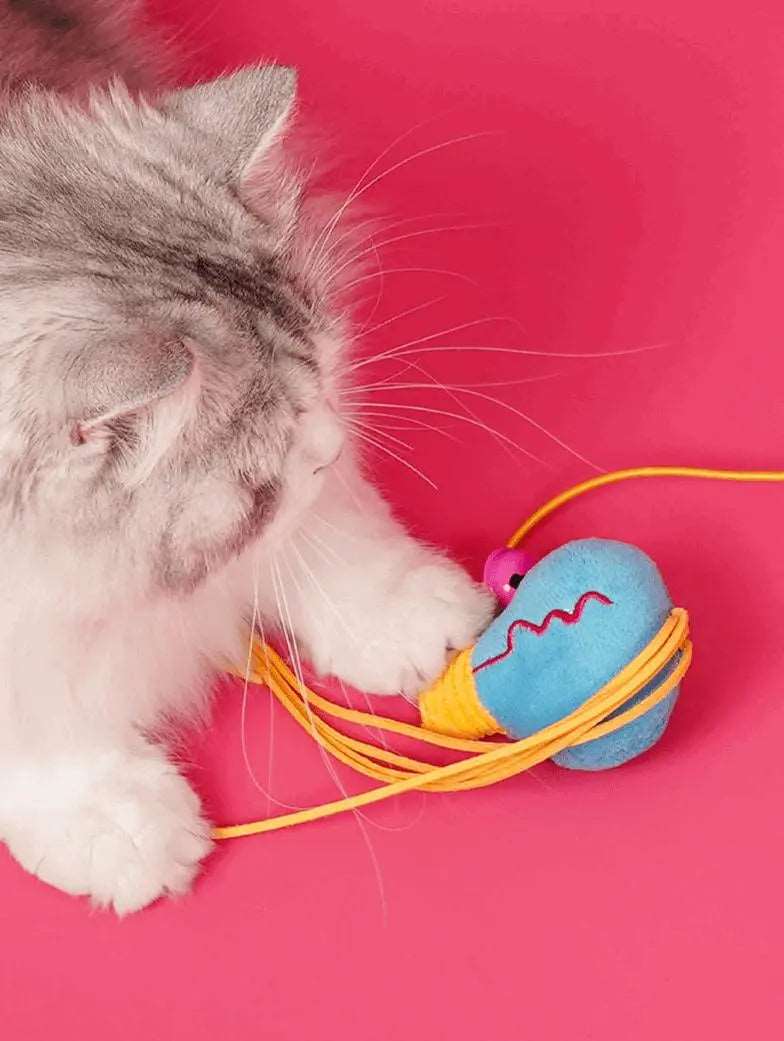 Why the Cat Spring Toy is the Ultimate Choice for Your Cat's Joy and Health