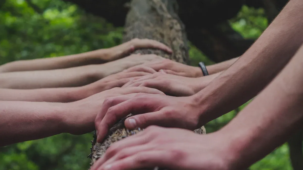 Human Collaboration: Core Elements