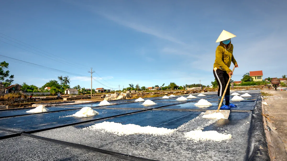 Downstream Applications of MVR Evaporators