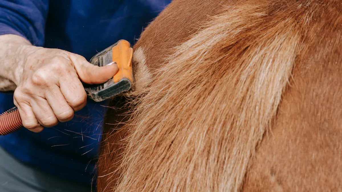 Tips for Pet Hair Removal