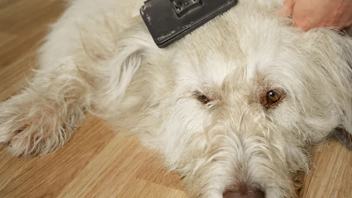Top 10 Eco-Friendly Washable Pet Hair Cleaners for Every Home