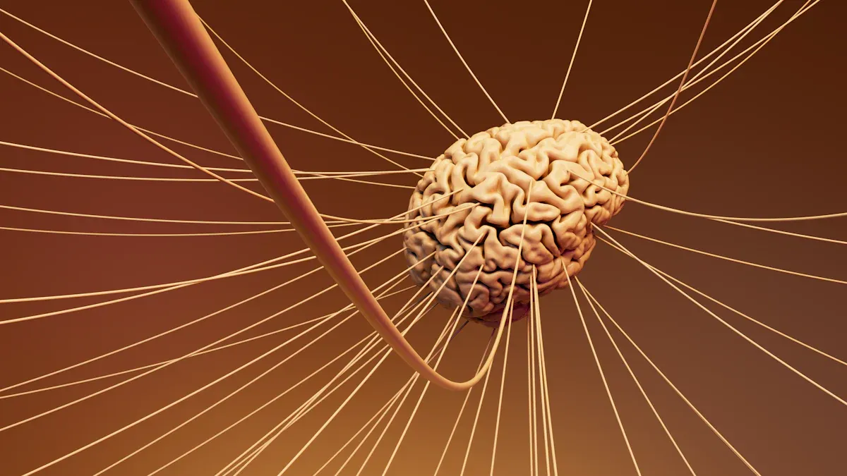 Neurobiologické aspekty vztahové reaktivity a mozek