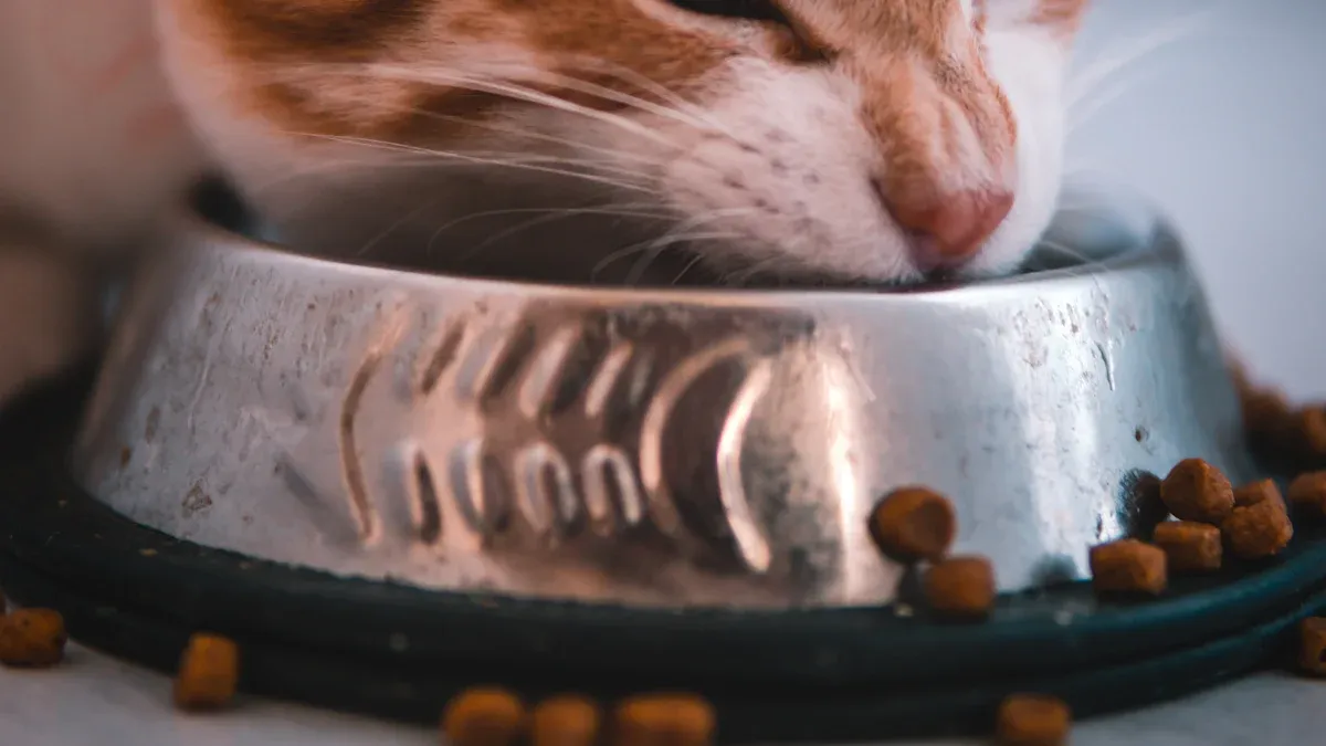 Top Leak-proof Cat Food Bowls