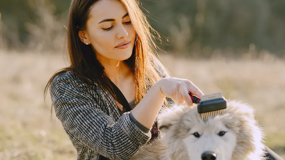 Top 3 Pet Grooming Comb Set Choices Backed by Reviews