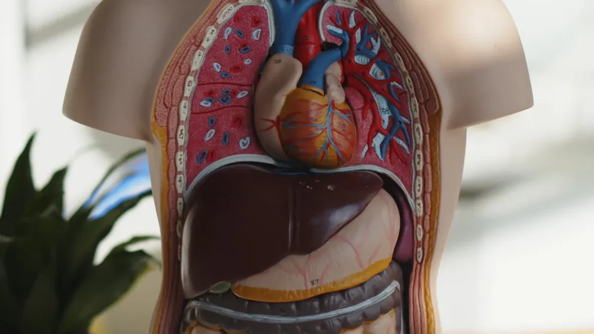 Timeframe for Common Vitamins and Supplements