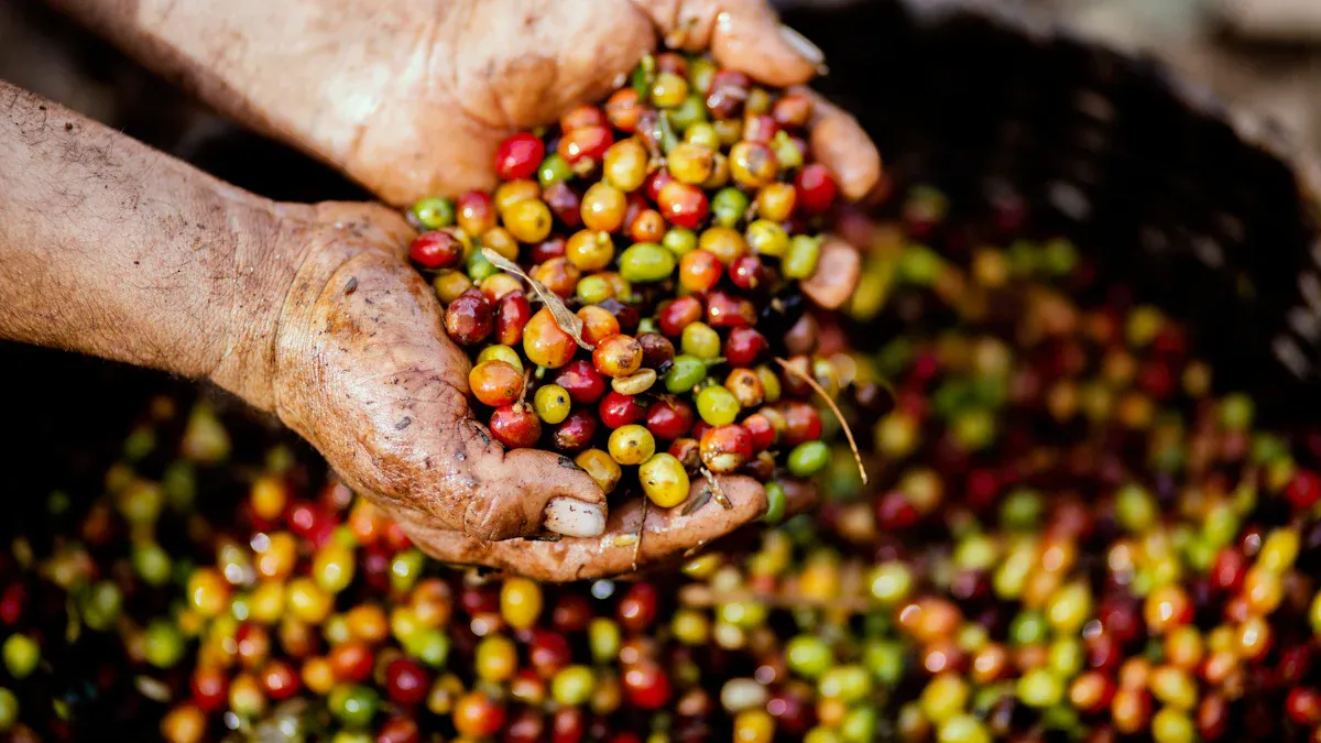 THE PILLARS OF ETHICAL SOURCING AND FAIR LABOR