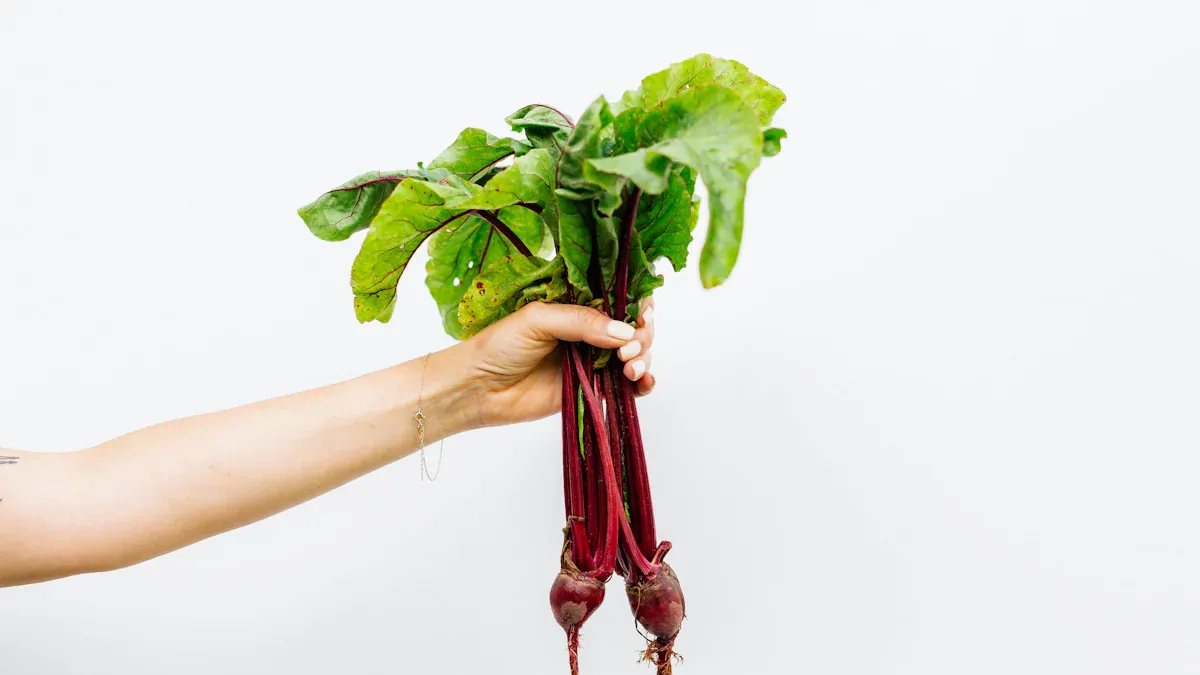 Top Foods Rich in Methyl Folate