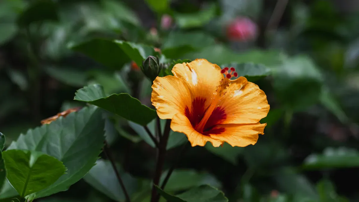 Benefits of Magnesium