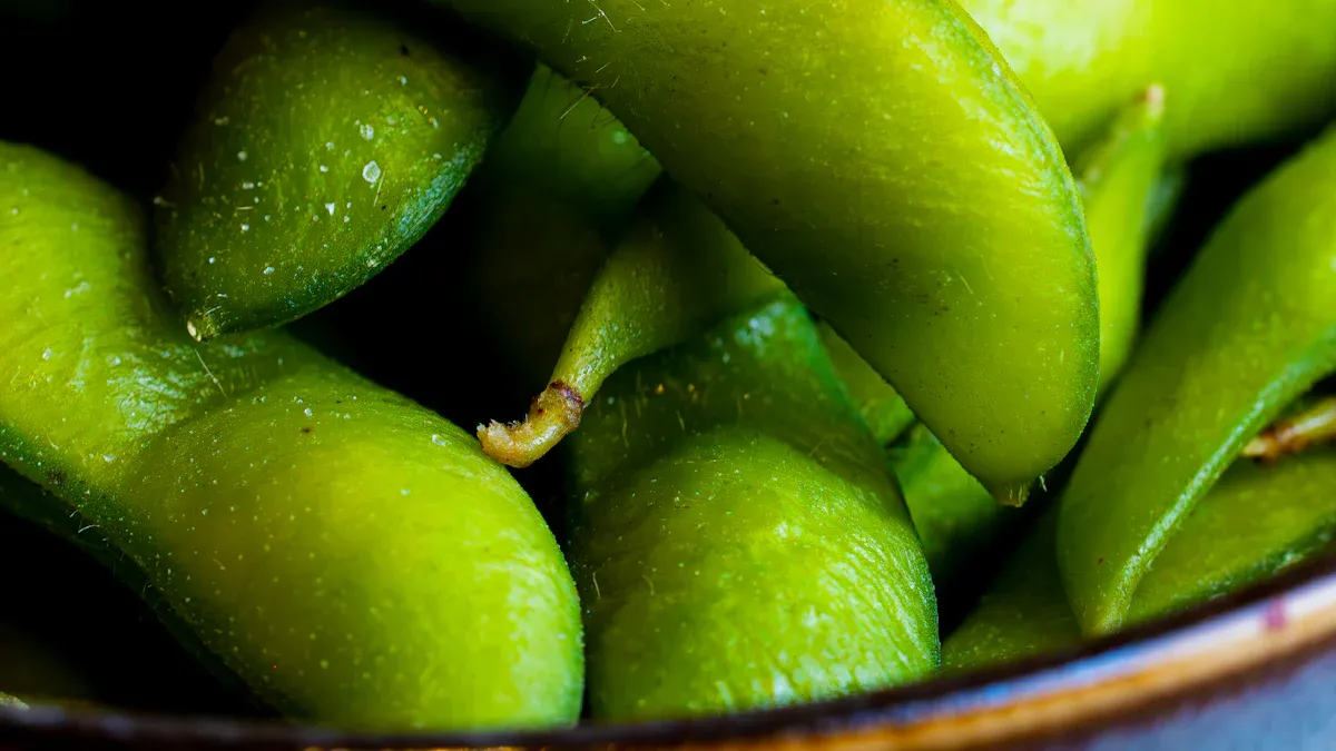 What Are Isoflavones in Soy?