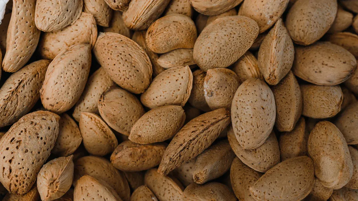 A Guide to Common Magnesium Forms