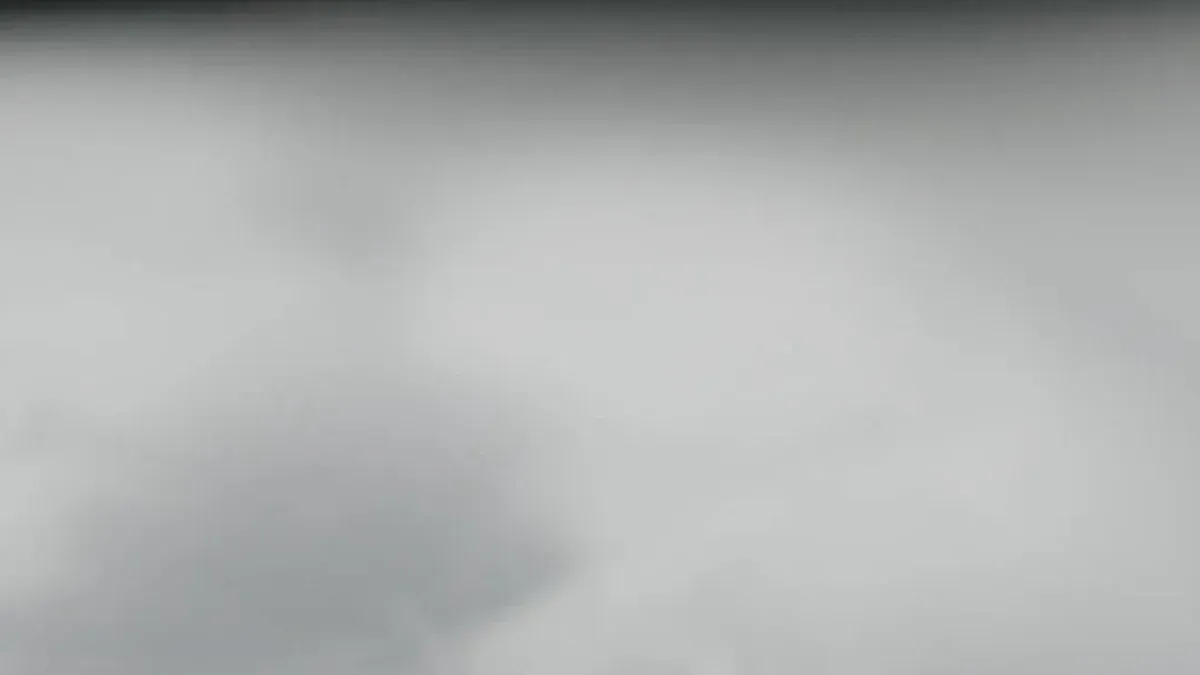 WHAT A HEAVY METAL PANEL INCLUDES