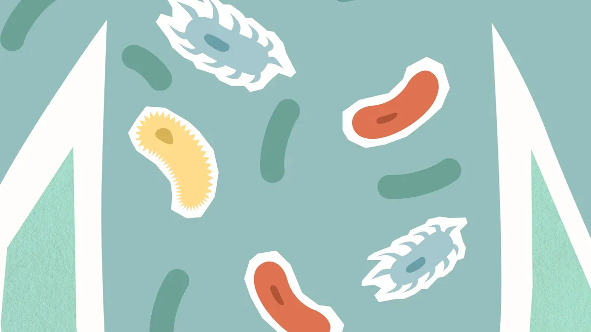 PREBIOTICS VS PROBIOTICS VS POSTBIOTICS: THE KEY DIFFERENCES