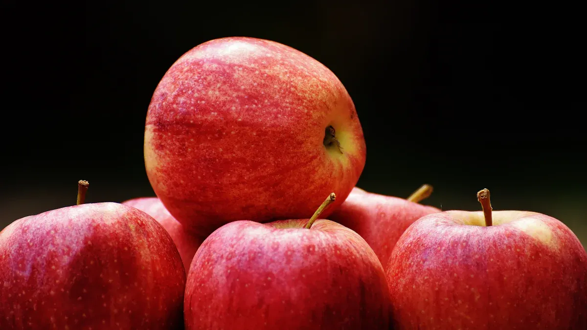 Apple Nutrition Facts and Health Benefits