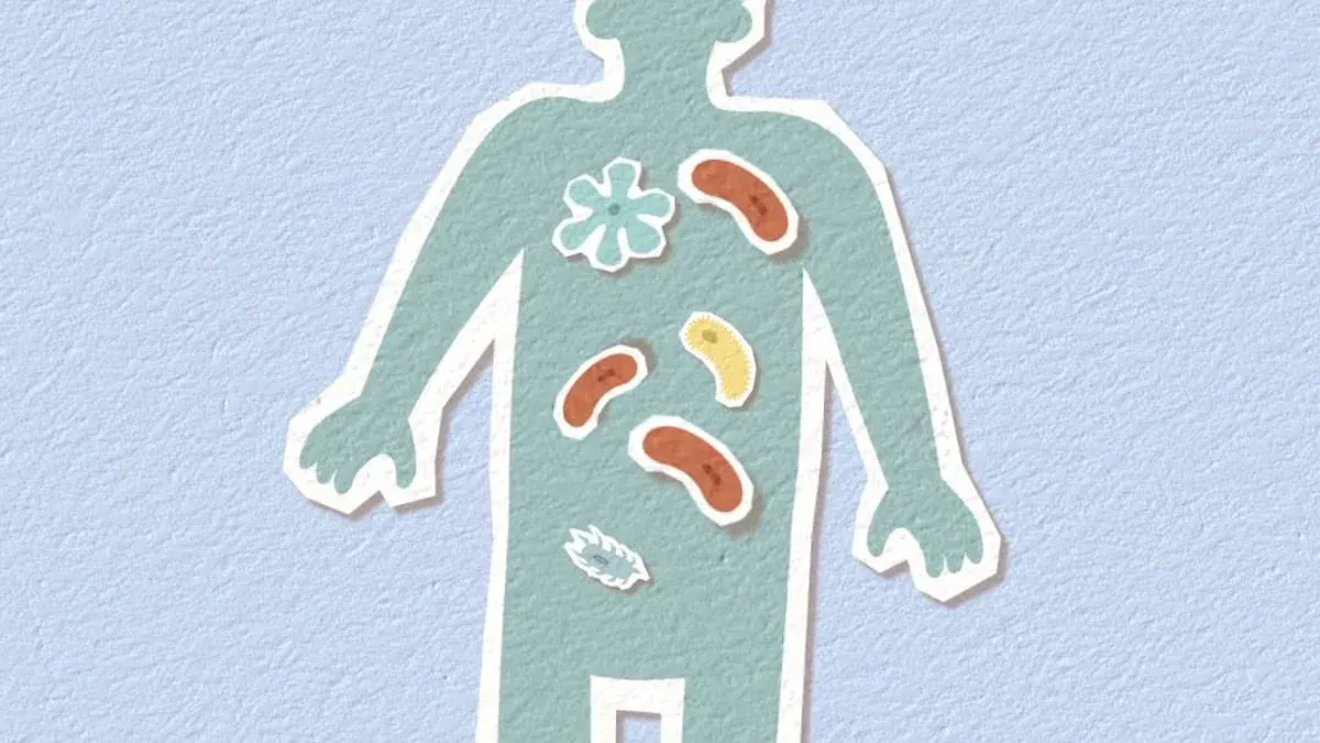 How Are Vitamins Absorbed?