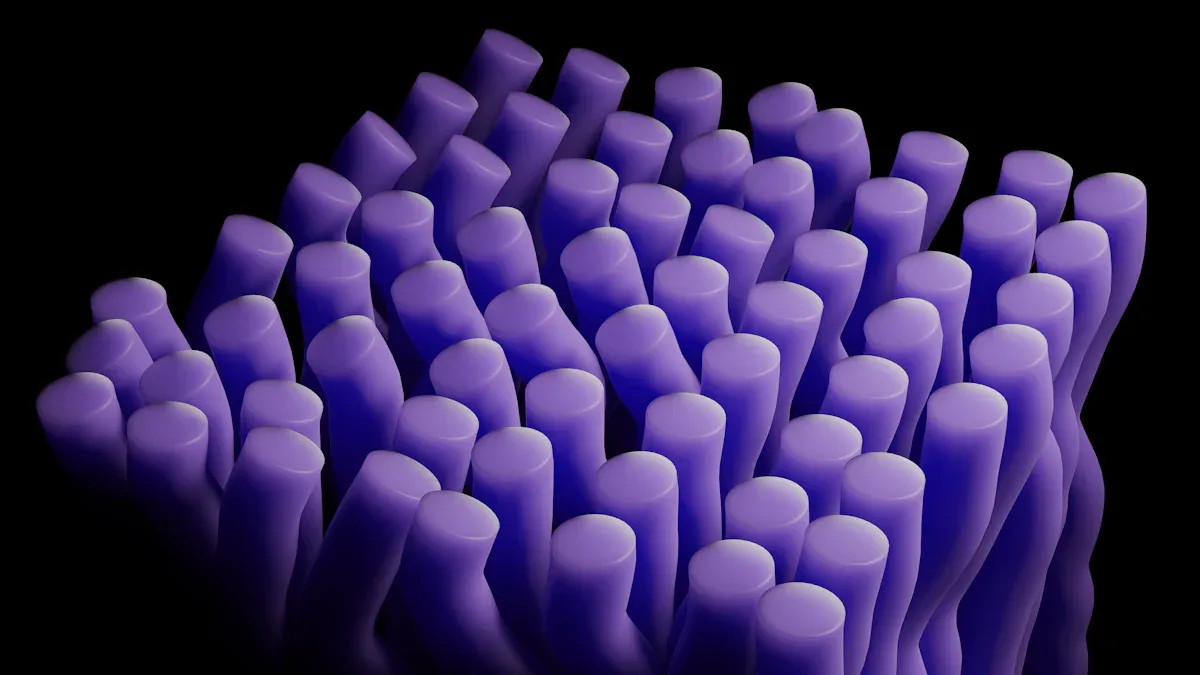 THE FINAL STEP: ABSORPTION IN THE BODY