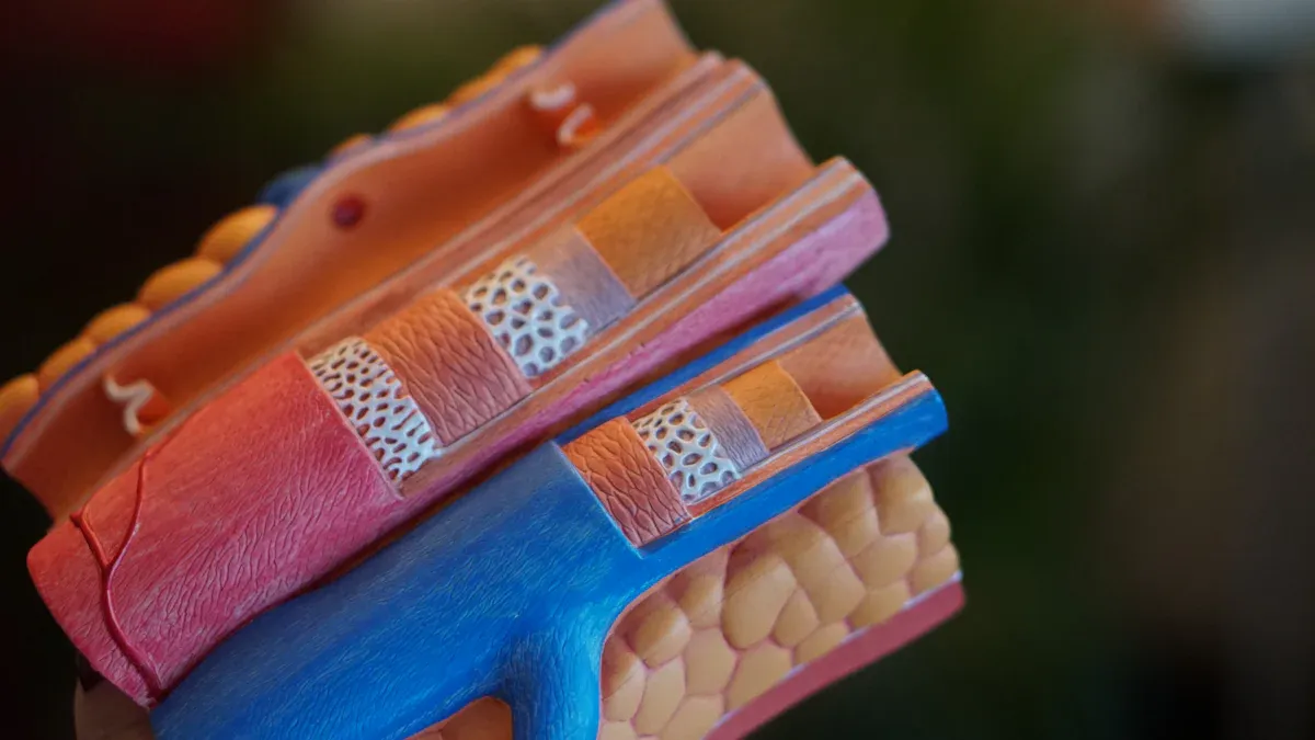 Homocysteine and Heart Health