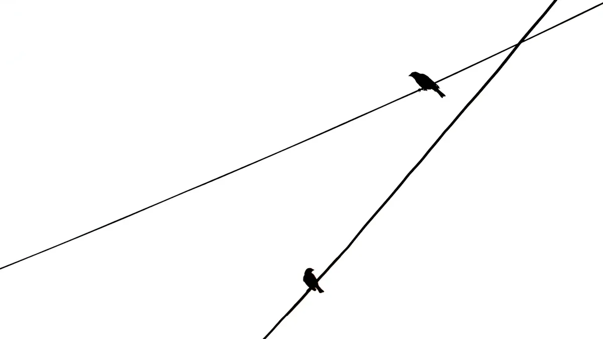 How to Check the Alignment