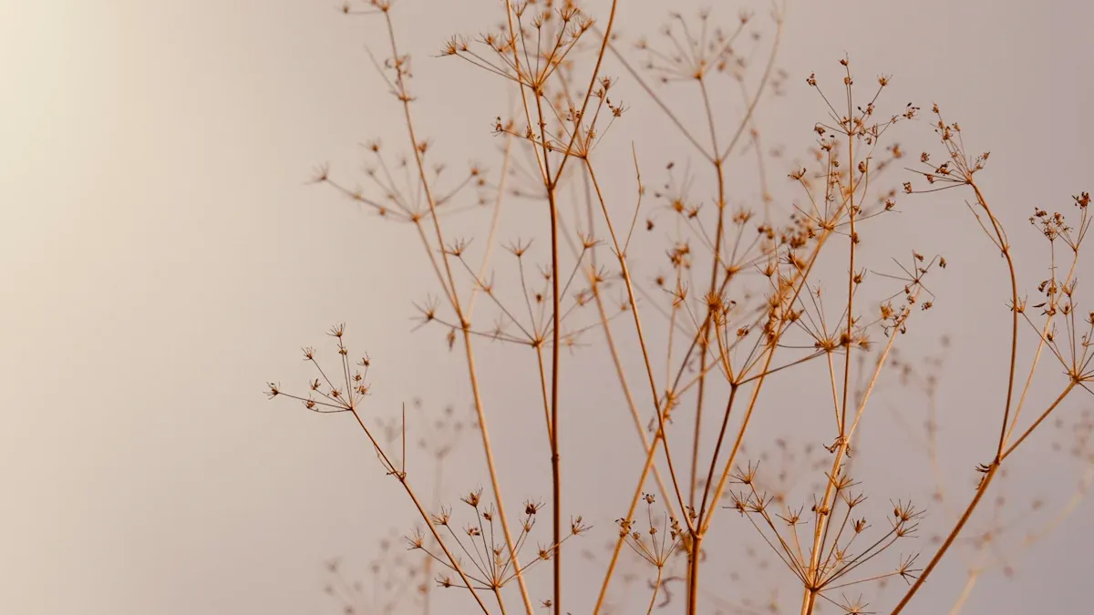 2026 Bathroom Color Trends: Moving Beyond Grey to Earth Tones and Jewel Tones