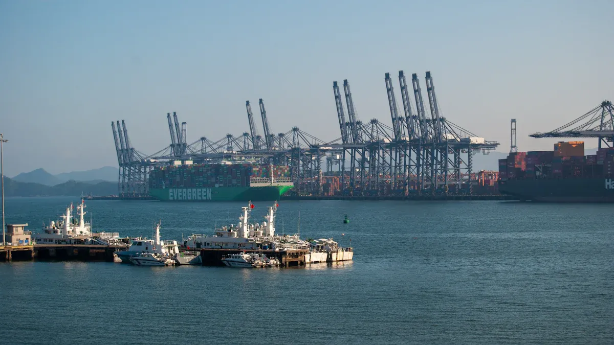 Exploring Growth Opportunities in India'
                style=