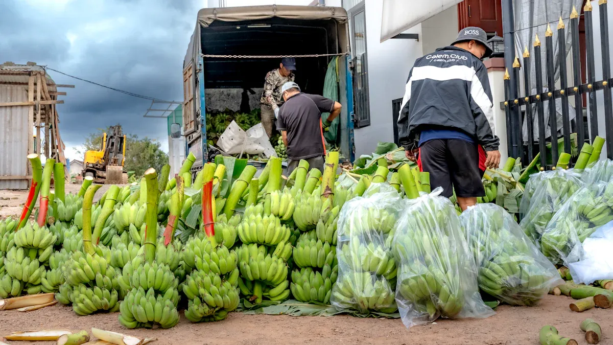 Industries and Products Requiring Cold Chain