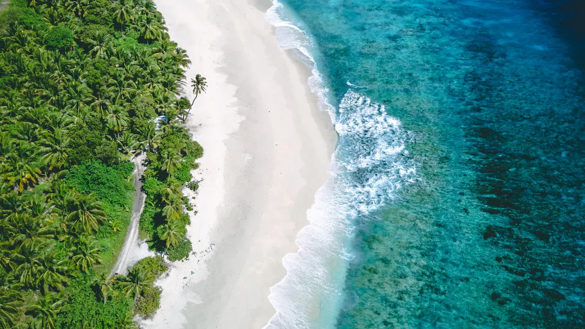 Port-Led Development and Green Shipping