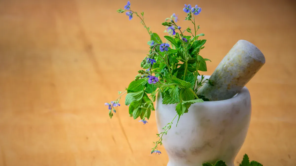 What is chinese herbal medicine dong quai?