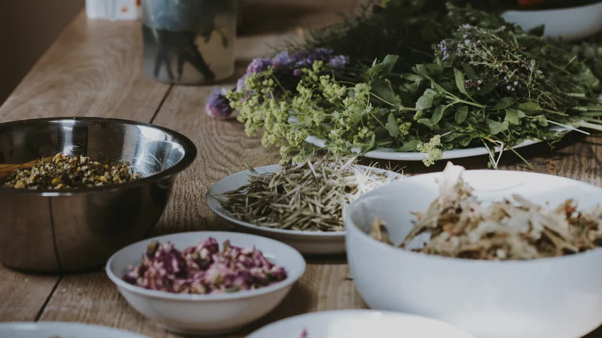 Herbal Medicine in Chinese for Everyday Concerns