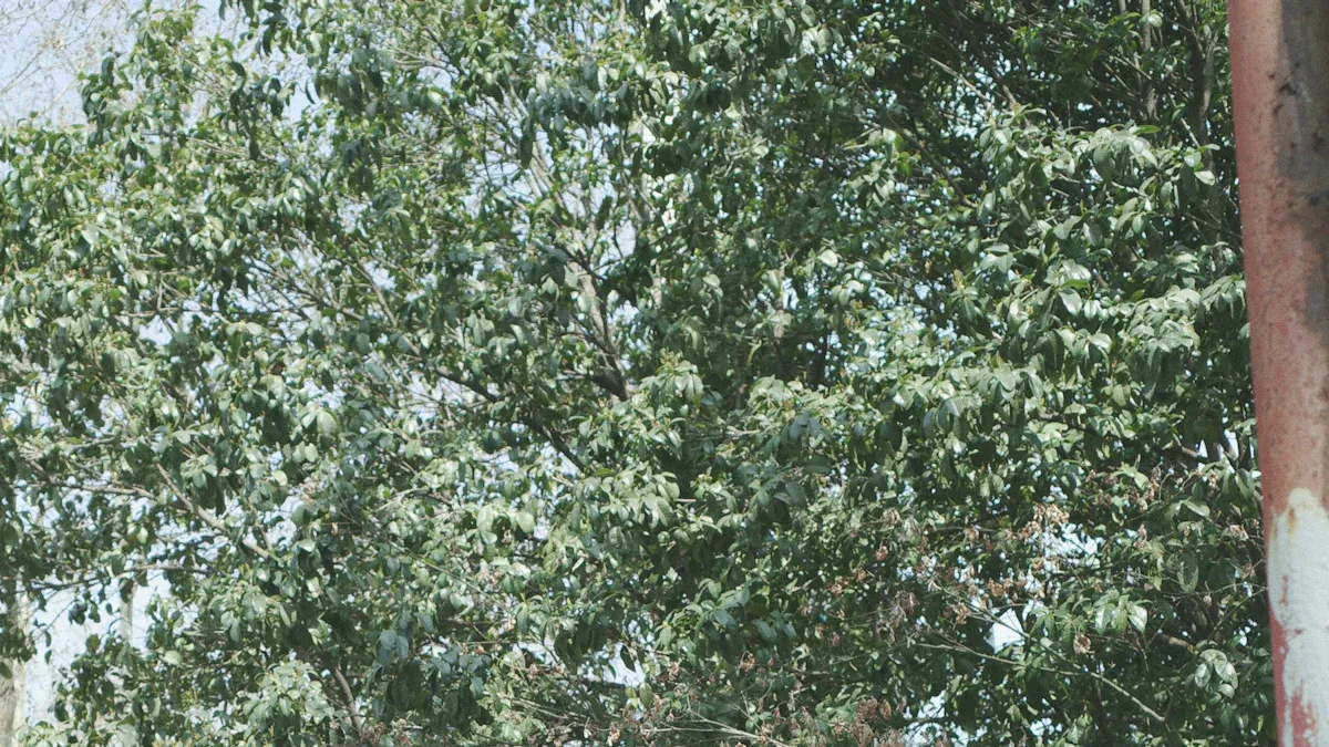 Durabilit&eacute; dans les enrouleurs de films plastiques