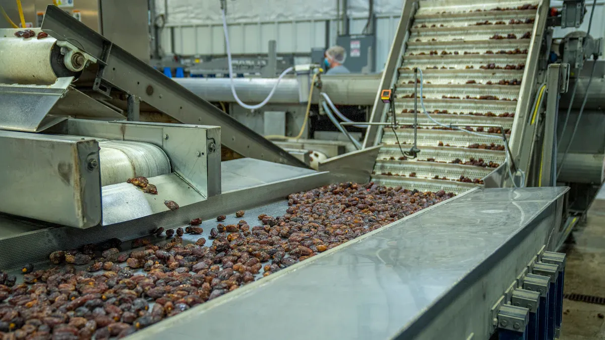 Wood Feeding Conveyor Overview