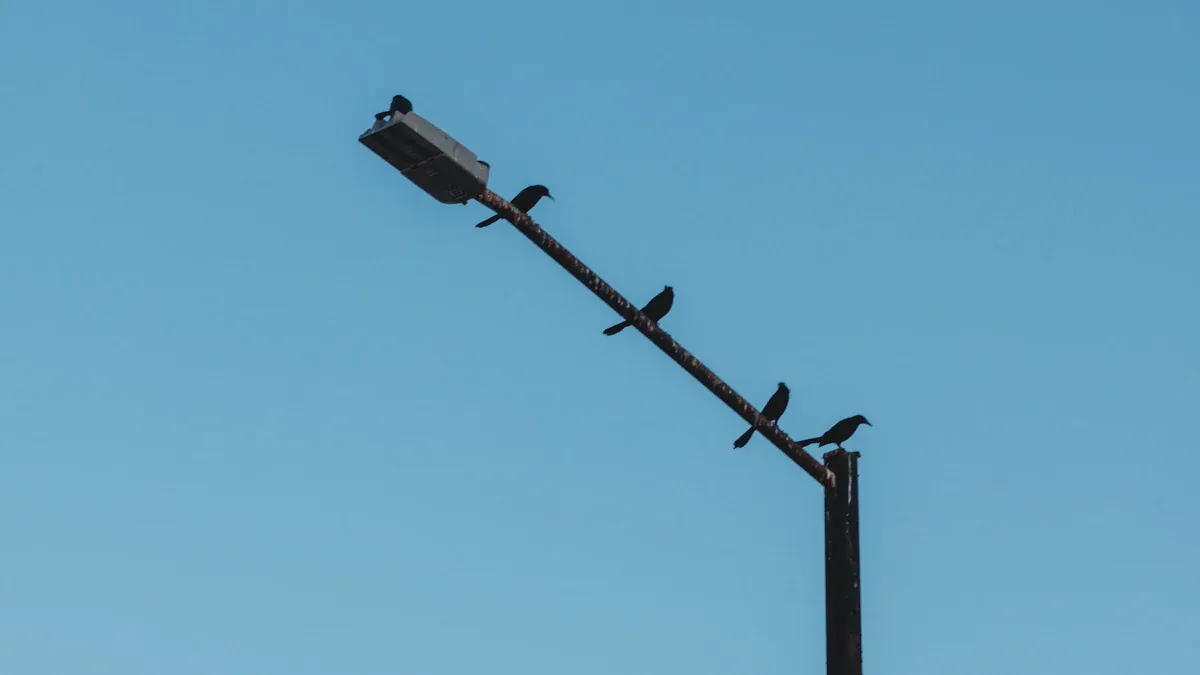 Suggestions for the Selection of Lighting Poles in Industrial Parks