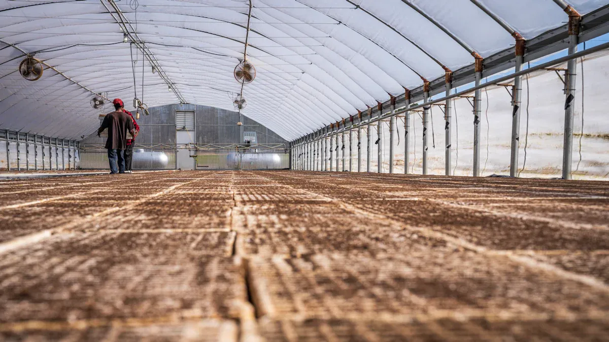 25781dd1ab17413dafb1d6c08c2eb8fa