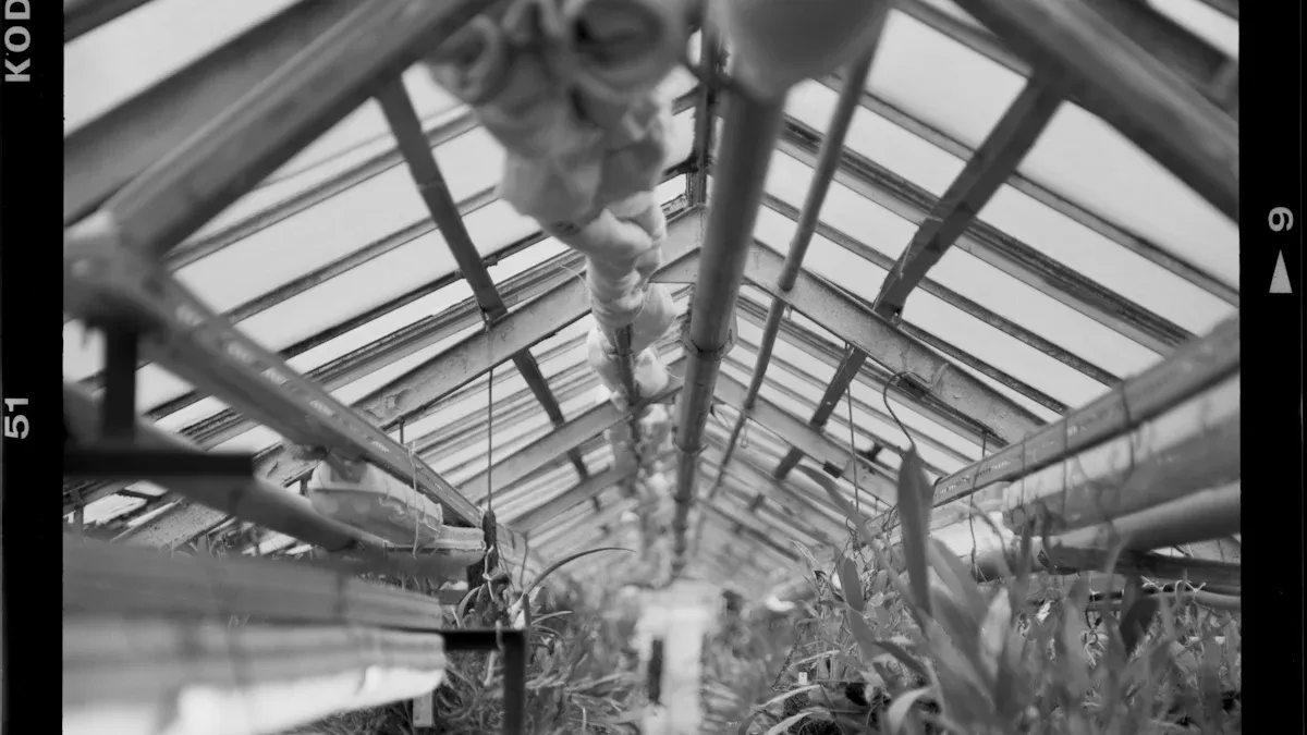 6543e7545d9b4f83a548b40e7c9a0ba1